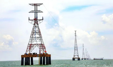 PC1 đang gặp vấn đề gì khi chậm công bố báo cáo tài chính quý I/2026?