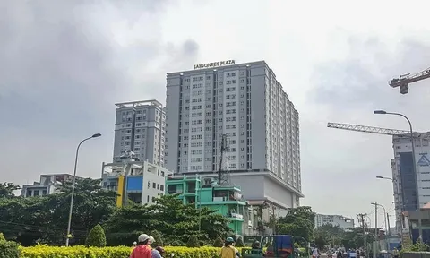Nợ thuế quá hạn hơn 9 tỷ đồng, Chủ tịch Saigonres Group có thể bị tạm hoãn xuất cảnh?