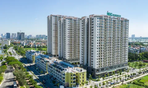 Góc cảnh giác: Chiêu trò trục lợi Nhà ở xã hội tại Nghệ An