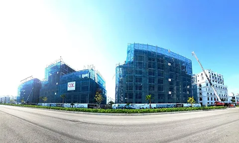 CDC Construction bị phạt thuế hơn 1,5 tỷ đồng sẽ ảnh hưởng gì tới cổ phiếu CCC?
