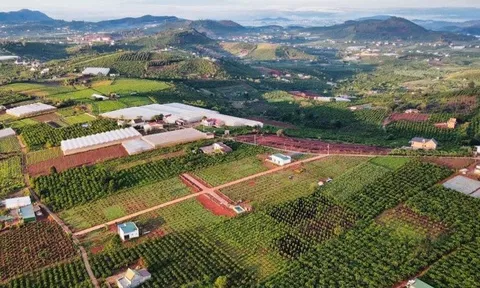 Điều kiện để chuyển đất trồng cây sang đất ở theo Luật Đất đai 2024
