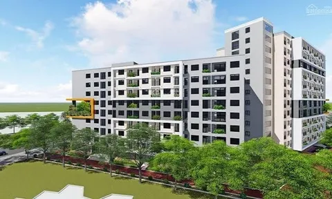 Hà Nội sắp bốc thăm trực tuyến quyền mua hơn 900 căn nhà ở xã hội