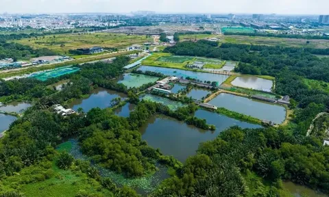 Siêu dự án "treo" hơn 3 thập kỷ ở TP.HCM sắp chuyển mình với diện mạo hoàn toàn mới