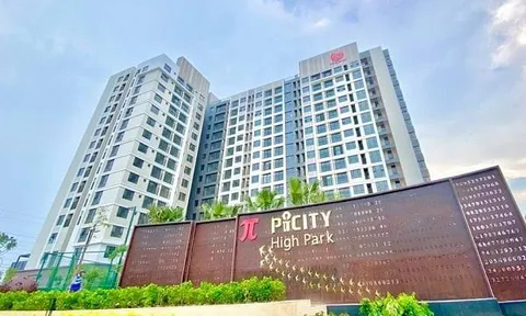 Một bên nợ thuế hàng trăm tỷ, một bên triển khai dự án: Những mắt xích đáng chú ý quanh Pi Group