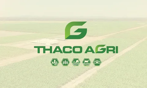 THACO Agri liên tiếp chậm báo cáo, Thanh tra Chứng khoán ra quyết định xử phạt