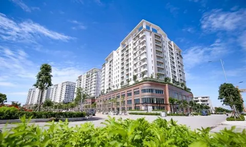 Thành viên THACO bị phạt 875 triệu đồng vì chậm báo cáo 87 căn hộ bán cho người nước ngoài
