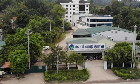 BIDV thu giữ gần 1.000 m² đất của Dược liệu Việt Nam giữa lúc doanh thu lao dốc